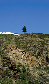 Barranco de Ye, Adeje, Tenerife